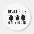 Search for insect magnets Ladybug
