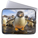 Search for penguin laptop cases Funny
