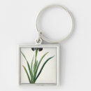 Search for pierre joseph redoute key rings Engraving