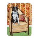 Search for boston magnets Dog