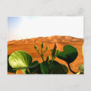 Search for arabs postcards Arabian