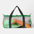 Search for small animals bags Nature