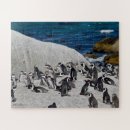 Search for penguin puzzles Birds