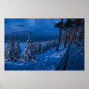 Search for winter path posters Forest