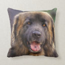 Search for fluffy dog cushions Puppies