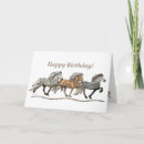 Search for horse note cards Equine