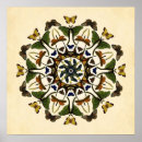 Search for butterfly art Moth