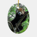 Search for red panda christmas tree decorations Wildlife