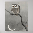 Search for vintage owl illustration art Bird