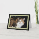 Search for calico cat birthday cards Animal