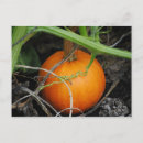 Search for little postcards Halloween