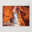 Search for antelope postcards Travel