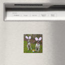 Search for easter eggs magnets Party