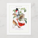 Search for cardinal postcards Vintage