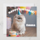 Search for funny kittens cards Animals