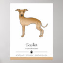 Search for cute fawn posters Dog