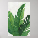 Search for pura vida posters Tropical