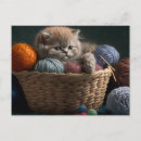 Search for knitter postcards Cat