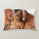 Search for danita delimont cushions Cold
