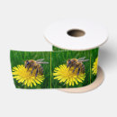 Search for honey bee ribbon Insect