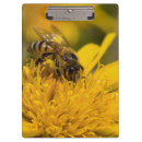 Search for photo clipboards Daisy