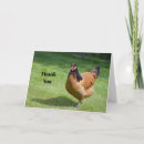 Search for breeding cards Chicken