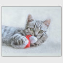 Search for santa paws wrapping paper Kitty
