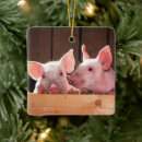 Search for piglet christmas tree decorations Baby pig