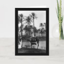 Search for 1902 Photograph