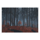 Search for forest floor posters Woods