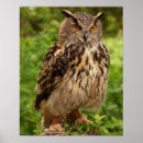 Search for wild birds art Leaves