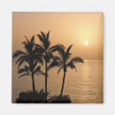 Search for romantic beach magnets Palm trees