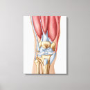 Search for joint art Medical
