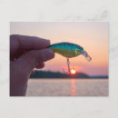 Search for hooked postcards Catch