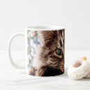 Search for maine coon cat mugs Feline