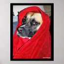 Search for cur posters Canine