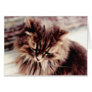 Search for grey hair postcards Kitty