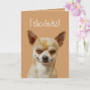 Search for mexican chihuahua cards Spanish