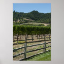Search for vineyard posters Winery