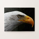 Search for wild bird puzzles Raptor