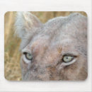 Search for big picture mousepads Wildlife
