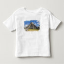 Search for roos tshirts Ruin