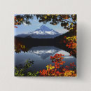 Search for cascade mountain badges Usa
