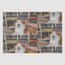 Search for fat cat wrapping paper Cute
