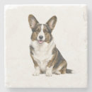 Search for corgi weddings Cardigan