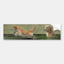 Search for hunting dog bumper stickers Golden