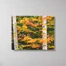 Search for maple canvas prints Leaf