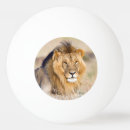 Search for big ping pong balls Lion