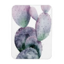 Search for plants magnets Coastal