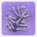 Search for biologists stickers Ocean